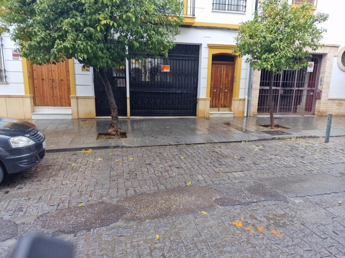 Ds Cuesta Del Bailio, Parking Opcional Lägenhet Córdoba Exteriör bild